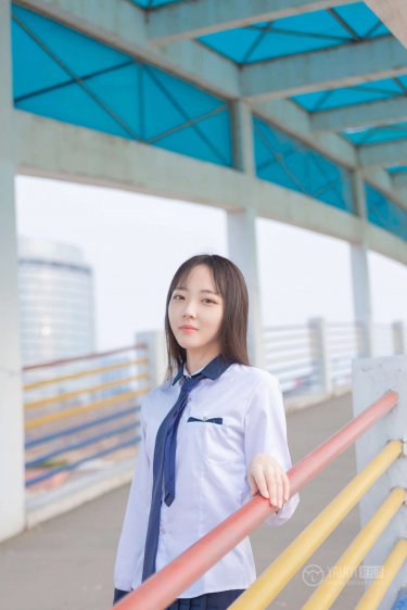 成人小视频在线观看