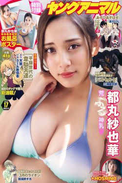 官婿美人图