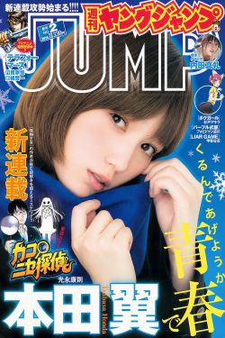 还珠格格野传